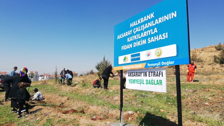 Halkbank çalışanları 200 fidanı toprakla buluşturdu 