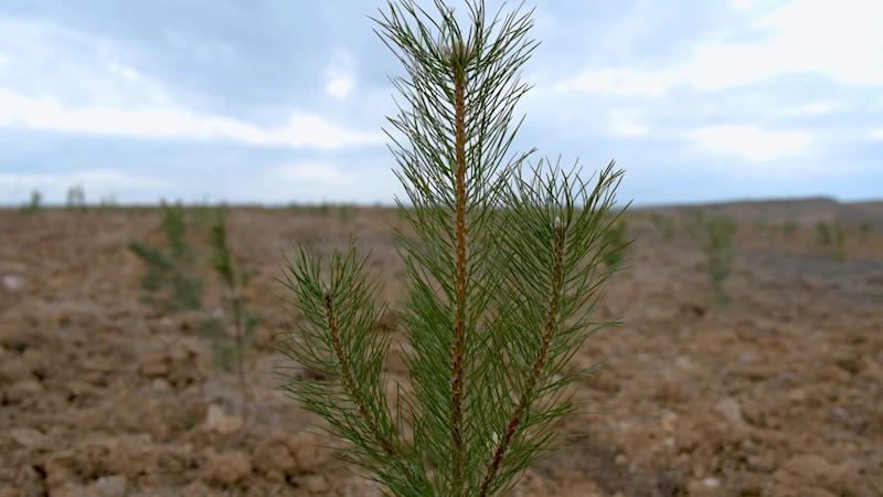 Şehir peyzajlarına bakanlık standardı geliyor