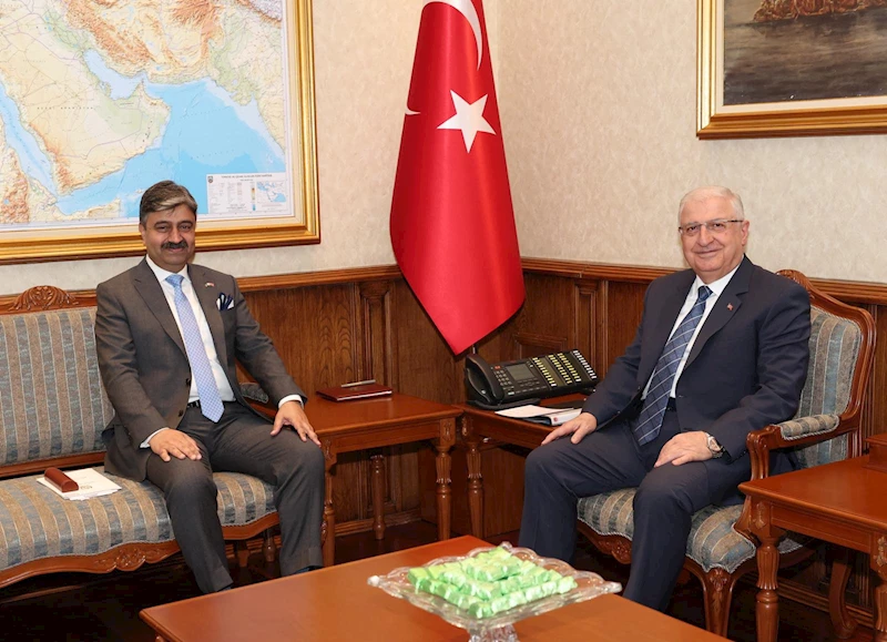 Bakan Güler, Pakistan Savunma Bakan Yardımcısı Ali