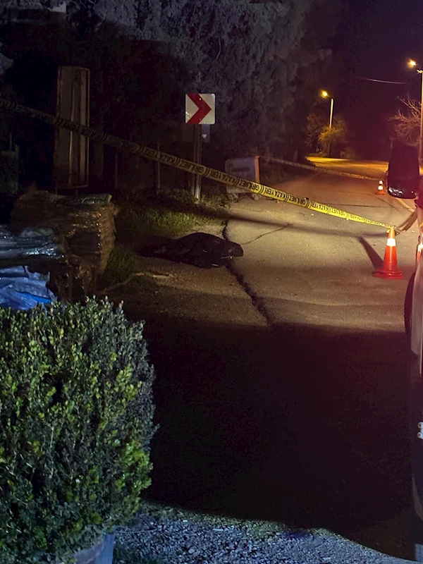 6 aylıkken annesini kaybedip, 9 yaşındayken kazada engelli kalan Hasan, 36 yaşında yine bir kazada öldü