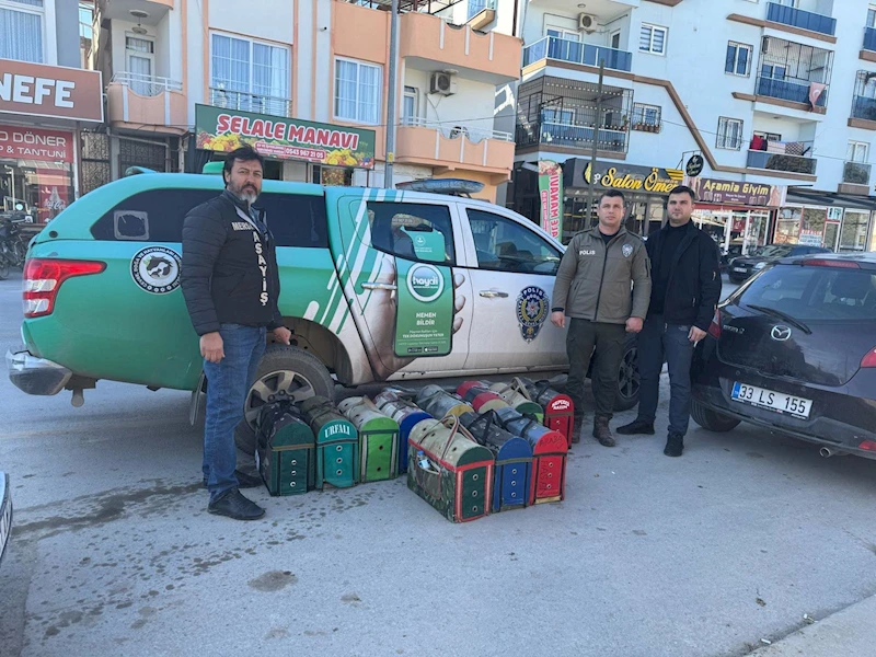 Mersin