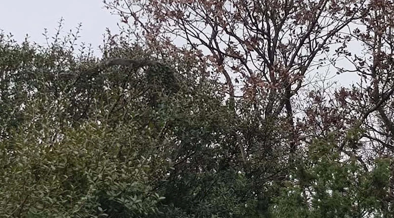 Çanakkale