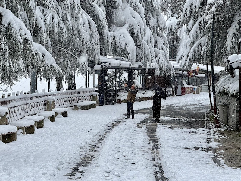 Ordu