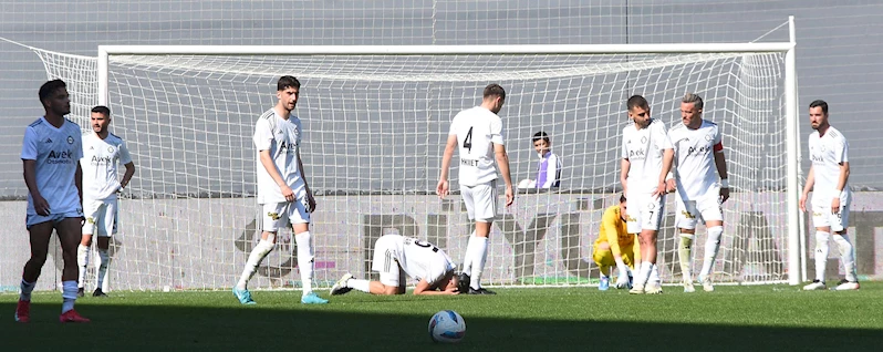 Altay