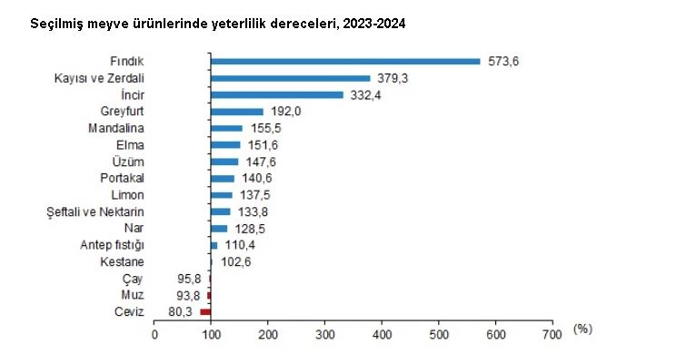 TÜİK: 2024