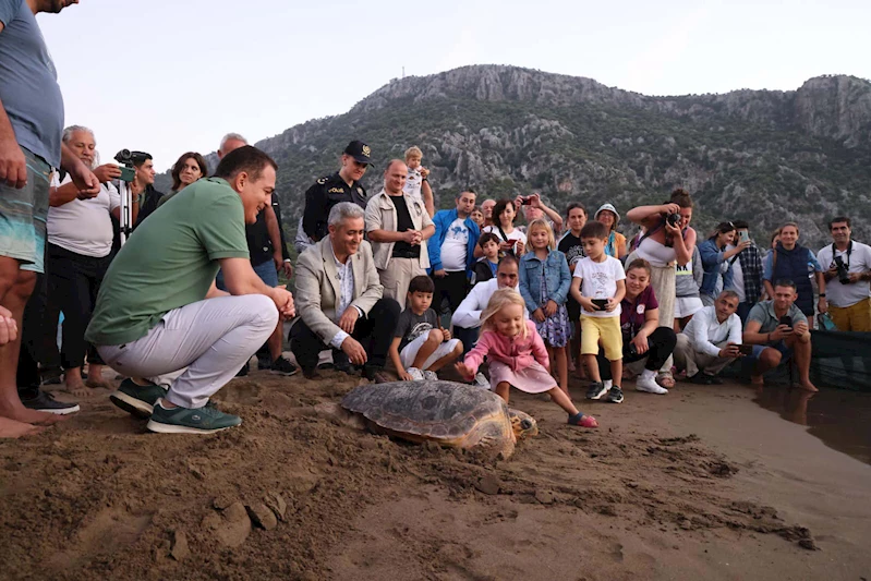 Tatilcilere bayram öncesi caretta caretta uyarısı: Beslemeyin