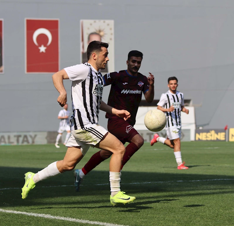  Altay
