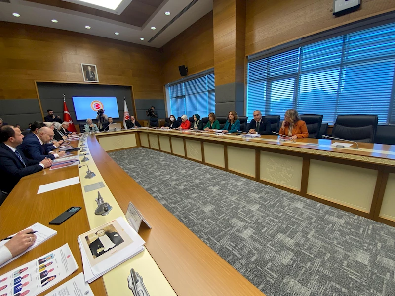 BTK Başkan Yardımcısı Gün: Aileler, çocuklarının internet ile ilgili yaşadığı sorunlardan haberdar değil 