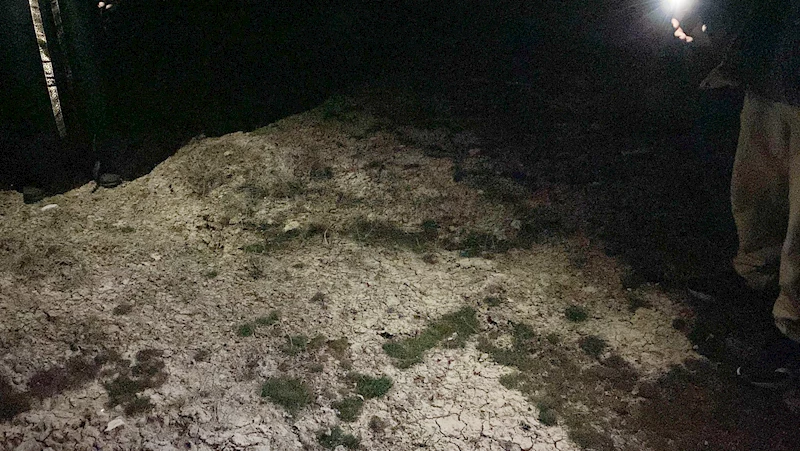 2 yaşındaki Rana, sokak köpeklerinin saldırısında öldü