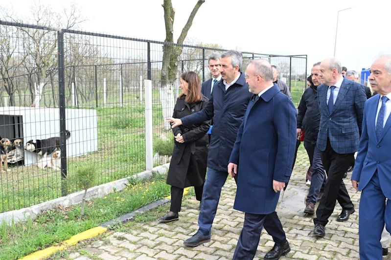 Edirne’de sokak hayvanları için 72 dönümlük ‘doğal yaşam alanı’ oluşturuluyor (2)