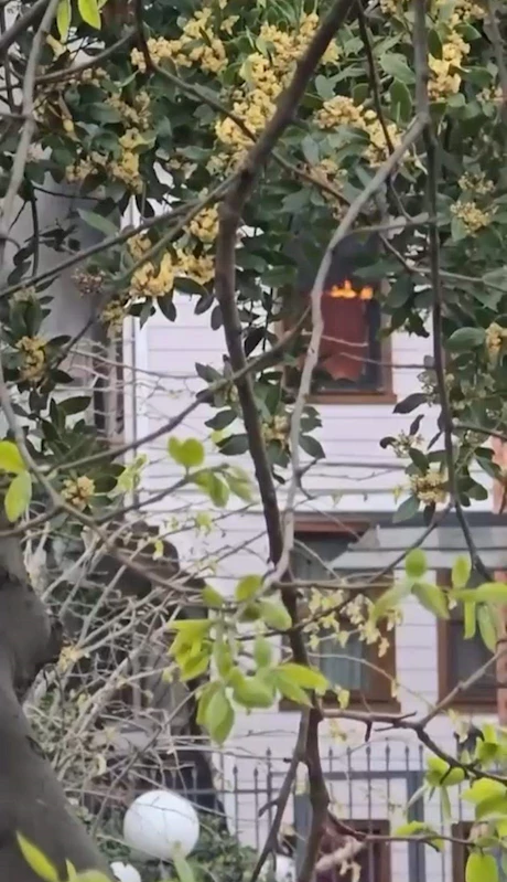 İstanbul - Sarıyer’de rüzgarın devirdiği mum yangına sebep oldu