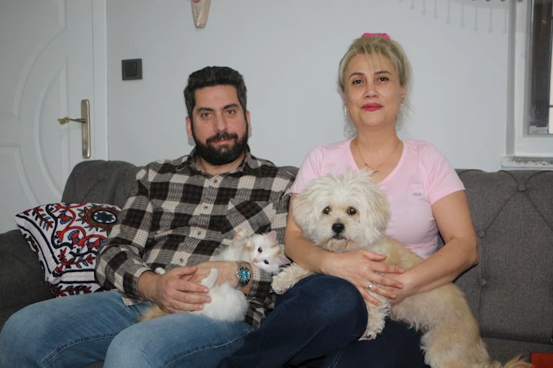 Köpek yavru kediye annelik yapıyor