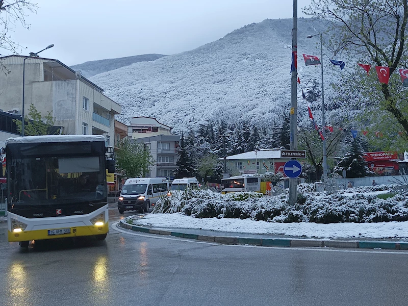 Bursa