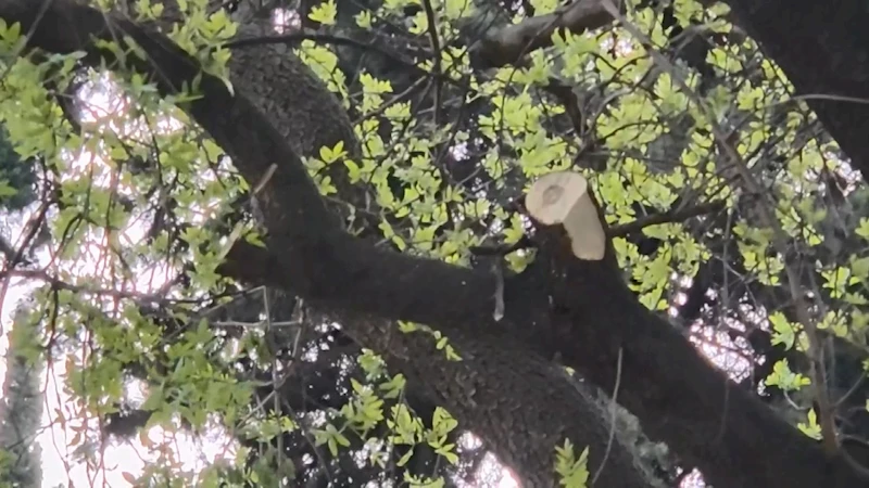 İstanbul - Mattia Minguzzi