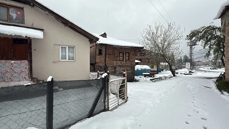 Bartın