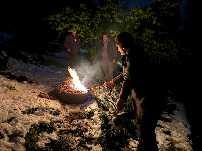 Fındık bahçelerinde zirai don nöbeti, gece boyunca lastik yaktılar