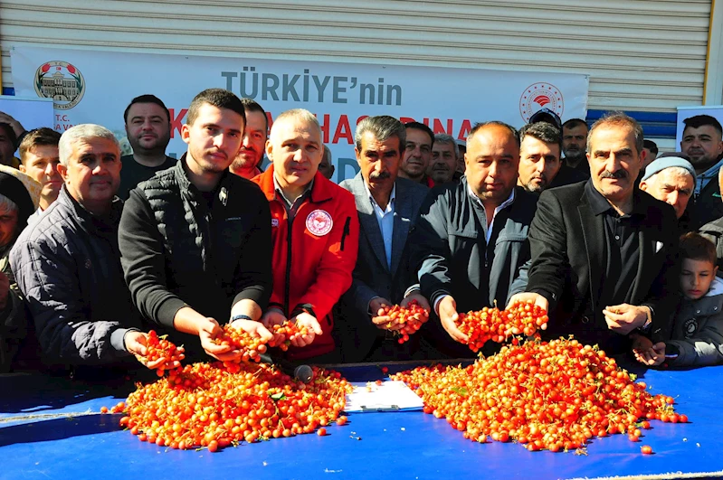 Manisa