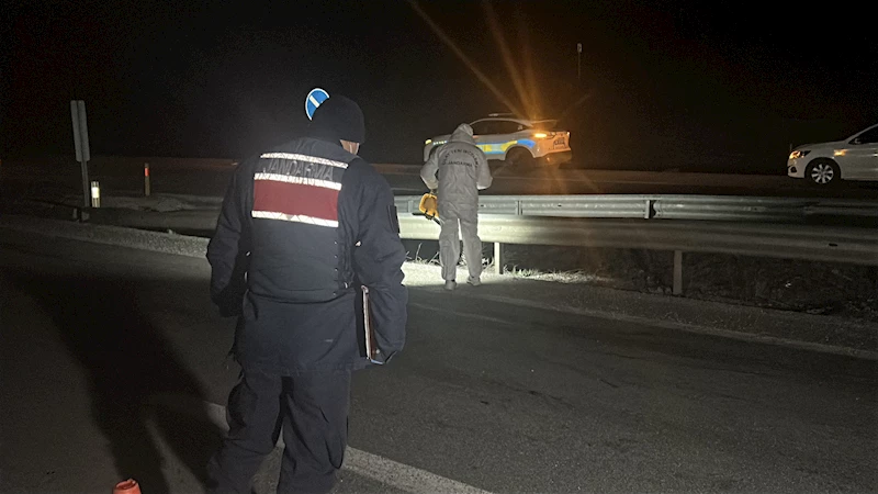 Kara yolu üzerinde bir aracın çarptığı yaya öldü, kaçan sürücü aranıyor