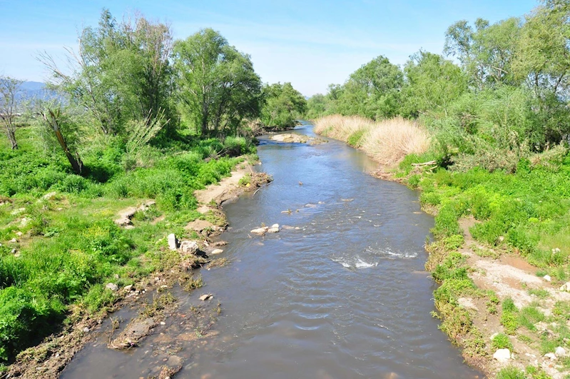 Gediz Nehri