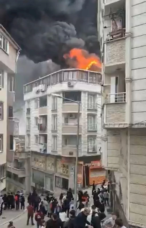 İstanbul- Esenyurt