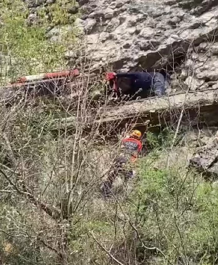 Karabük’te kayalık bölgeye düşen inek vinçle kurtarıldı