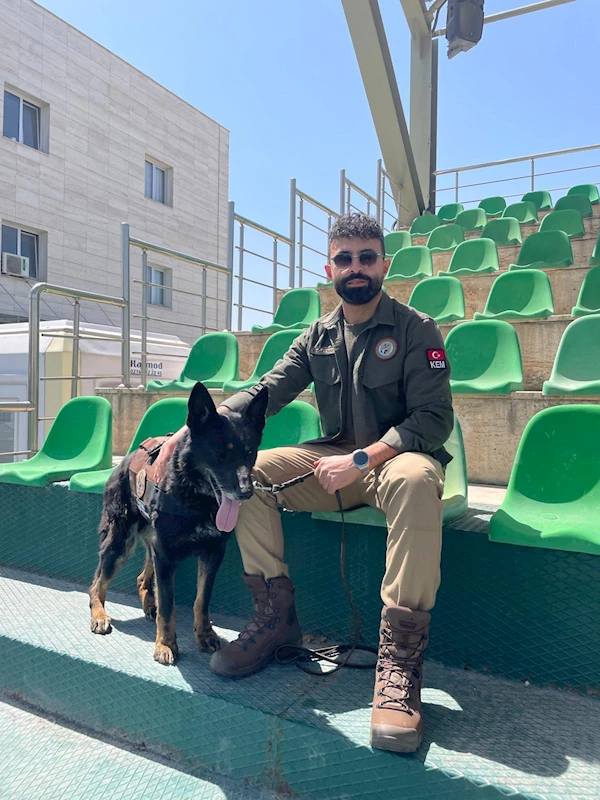 Ankara- Emekli olan gazi köpeklere özel bakım /Video eklendi 
