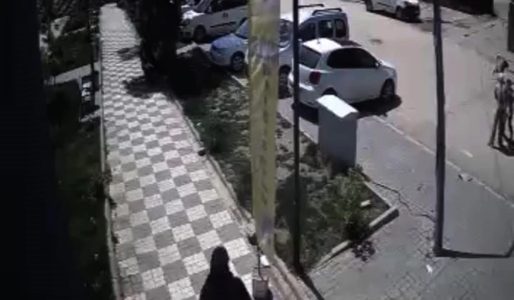 Sokak köpekleri, anne ile kızına saldırdı