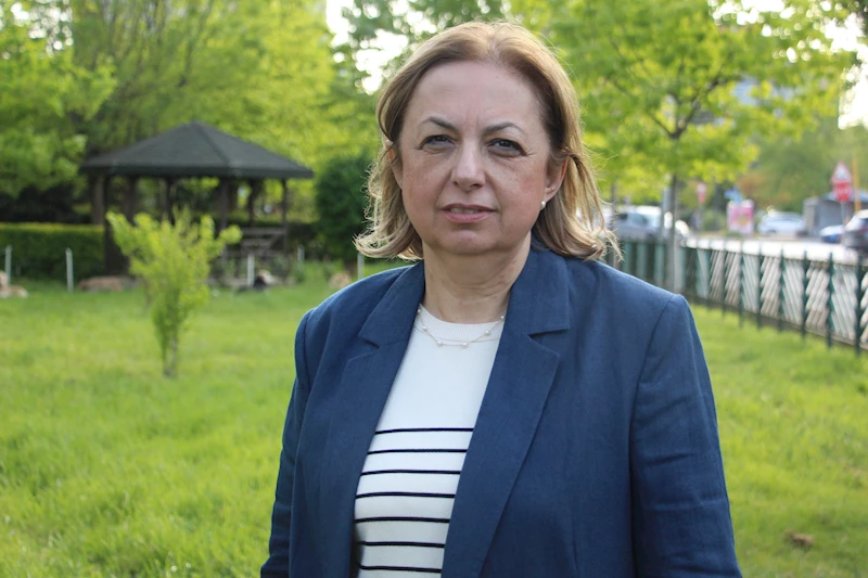 Profesör Sertçelik: Deprem, 