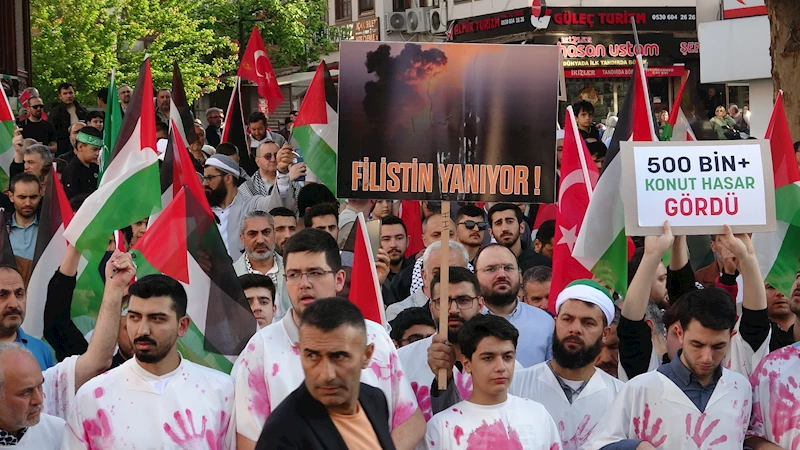 Bursa Gönüllü Kuruluşlar Platformu Filistin