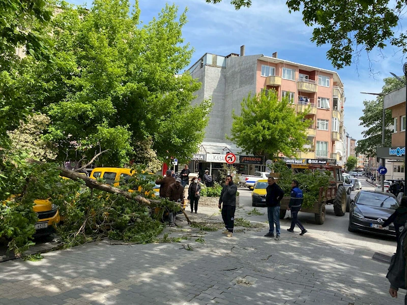 Çanakkale