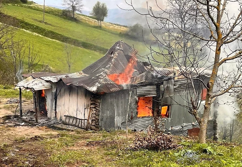 Ordu