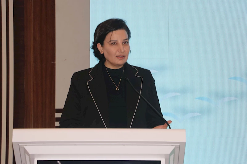 Aslan: Keban Barajı