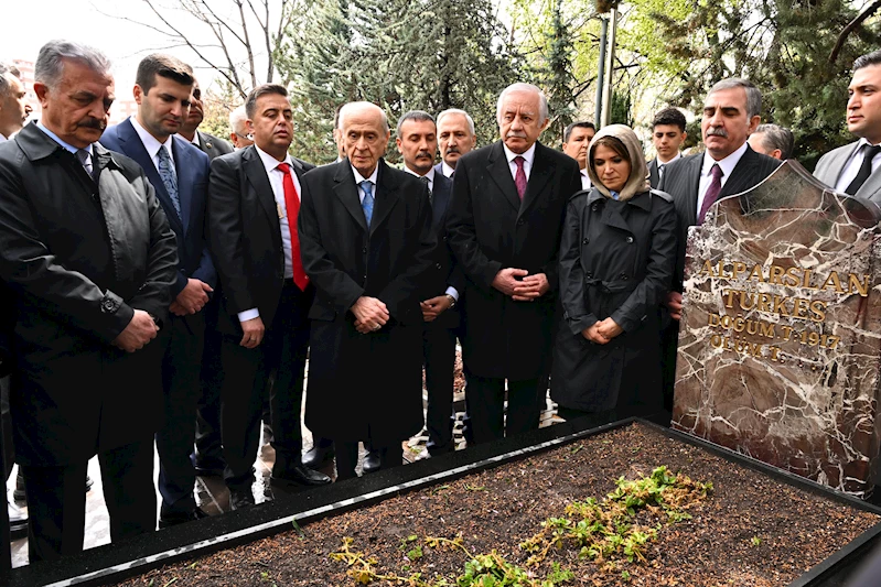 Bahçeli, Türkeş