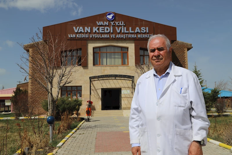 Van Kedi Villası