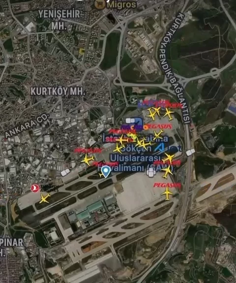 İstanbul- Sabiha Gökçen Havalimanı apronunda tilki alarmı: 