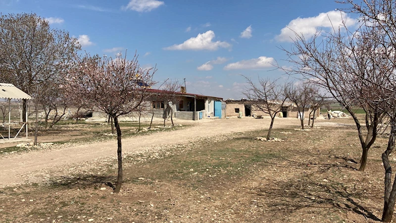3 yaşındaki kızını boğazını keserek öldüren anneye 