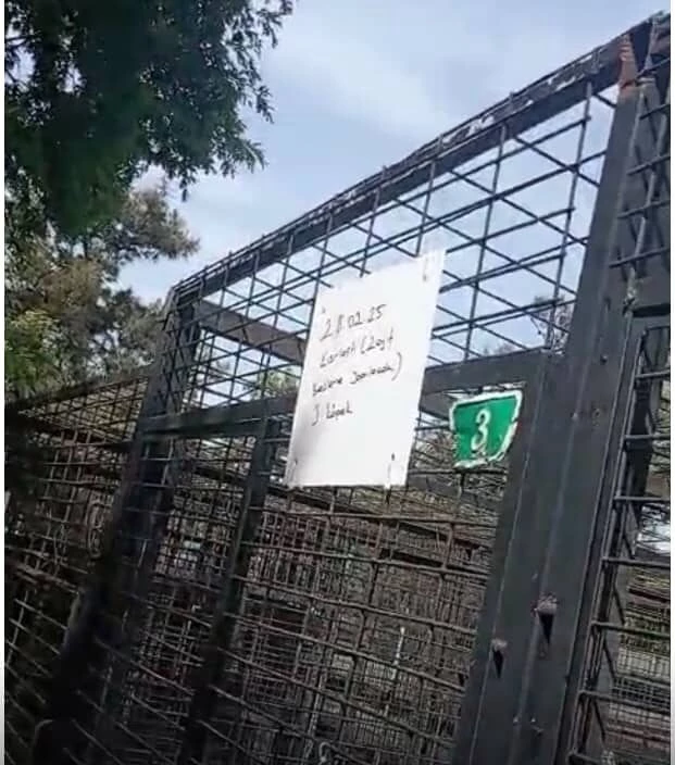Barınakta hayvanların uyutulduğu iddialarına hayvanseverlerden tepki (2) 