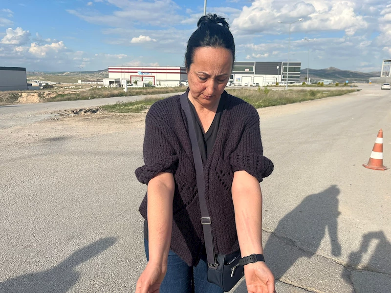 Belediye görevlileri ile hayvansever arasında 