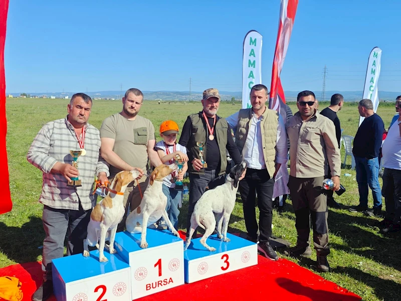 Fermalı av köpekleri yarıştı; avcılar yoğun ilgi gösterdi