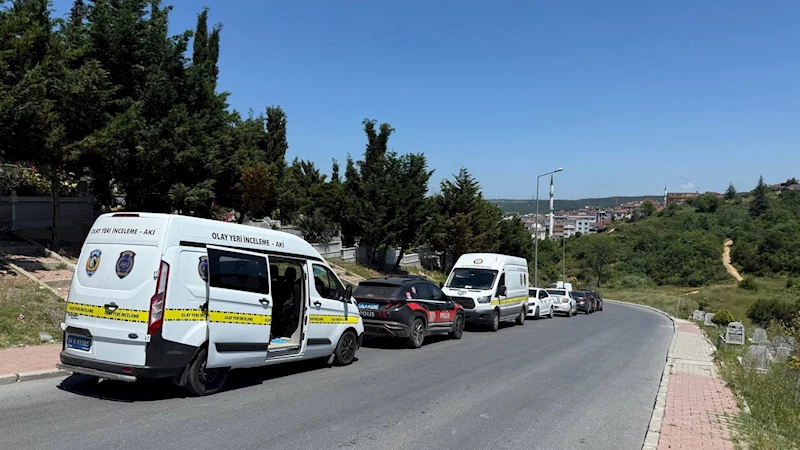 İstanbul- Arnavutköy