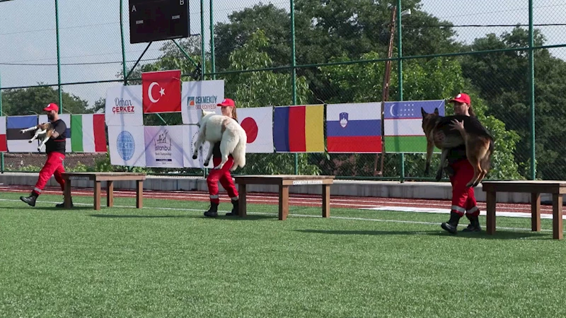İstanbul- 9 ülkeden 27 arama kurtarma köpeği İstanbul
