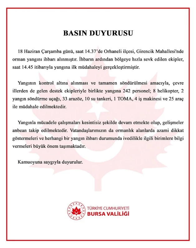 Bursa’da orman yangını (6)
