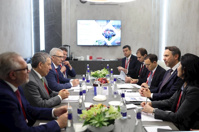  Enerji ve Tabii Kaynaklar Bakanı Alparslan Bayraktar, Rusya