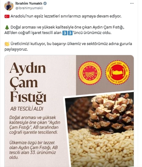 Aydın çam fıstığına AB
