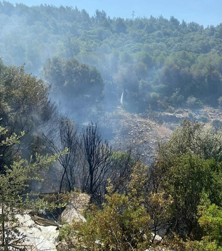 Aydın