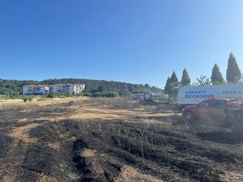 Sakarya Orman İşletme Müdürlüğü