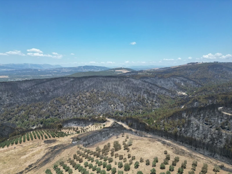 Manisa