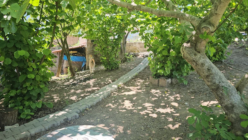 Köy okulunda hayvancılık ve tarımla eğitim / Ek fotoğraflar