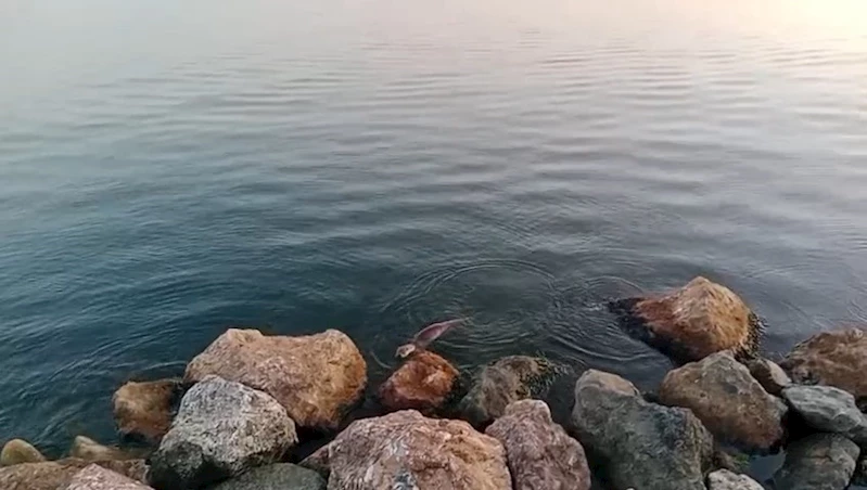 Zonguldak
