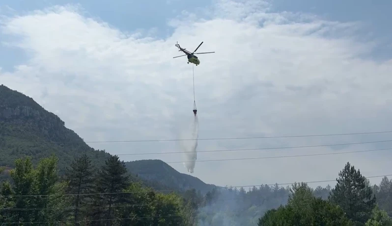 Karabük’te orman yangını 2 saatte kontrol altına alındı